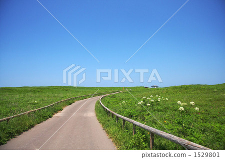 Wakka Wild Flower Garden 1529801