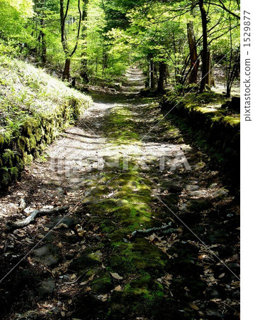 幸福之谷 1529877