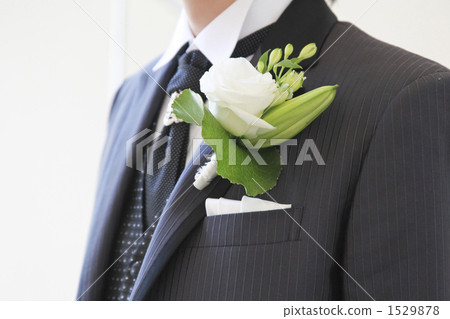 The groom Bootonia The groom Bootonia 1529878