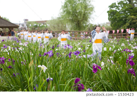Suicide Ayame Festival Ceremony 1530423