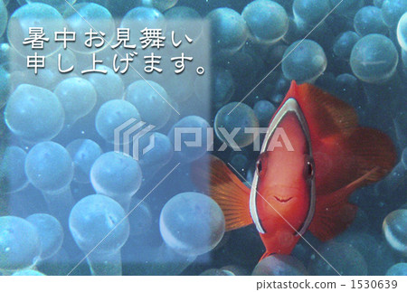 I wish you a warm hospitality. I wish you a warm hospitality. 1530639