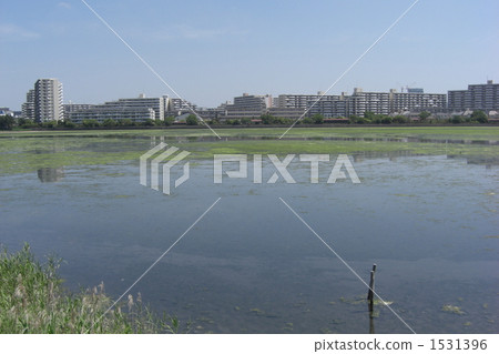 Yatsu tidal flat Yatsu tidal flat 1531396