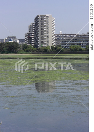 Yatsu tidal flat 1531399