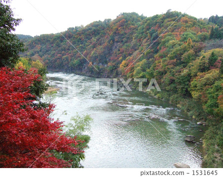 秋葉和Abukumagawa河 1531645