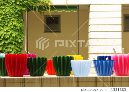 我該怎麼辦？ 1531883