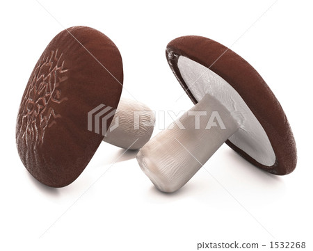 Shiitake mushroom 1532268