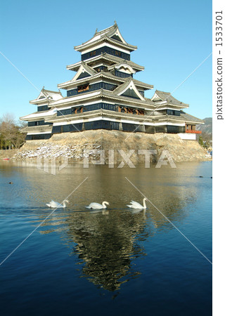 Castle and three swans 1533701
