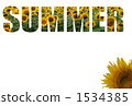 SUMMER_ sunflower 1534385