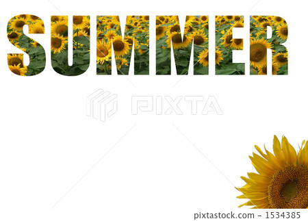 SUMMER_ sunflower 1534385
