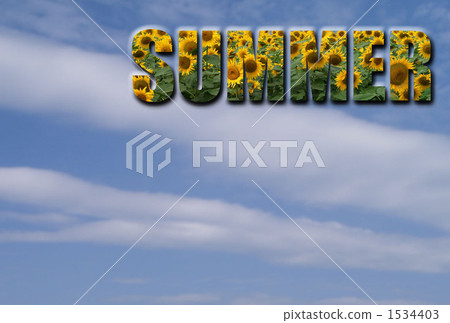SUMMER _ sunflower _ sky SUMMER _ sunflower _ sky 1534403