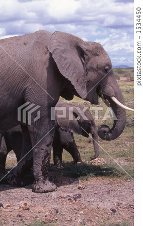  一個孩子 1534450