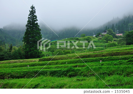 Original landscape of Japan 1535045