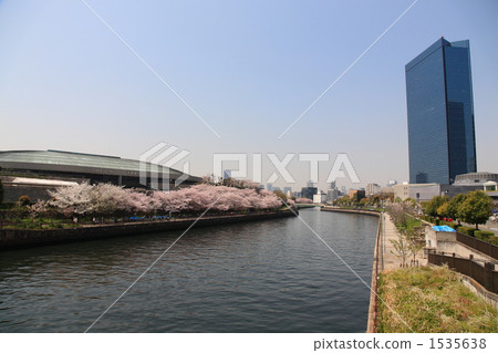 大阪商業園和櫻花 1535638