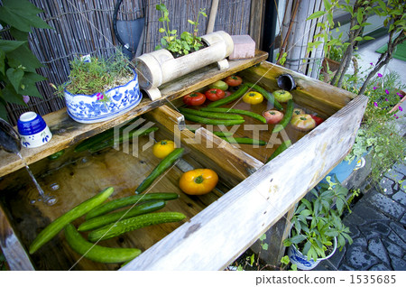 夏季蔬菜 夏季蔬菜 1535685