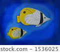 Tropical fish 1536025