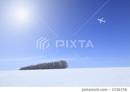 多雪的領域的防風林 1536156