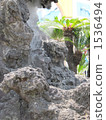 A geyser 1536494