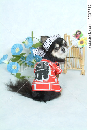 Summer festival Summer festival 1537712