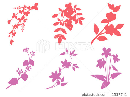 Japanese flowers (red and purple such as Hagi) 1537741