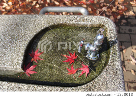 Autumn park: Fountain ground 03 1538018