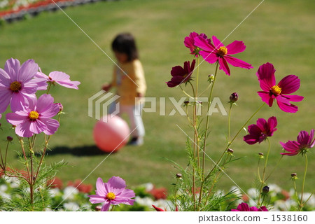 宇宙 宇宙 1538160