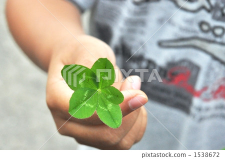 五葉花 五件套 三葉草 1538672