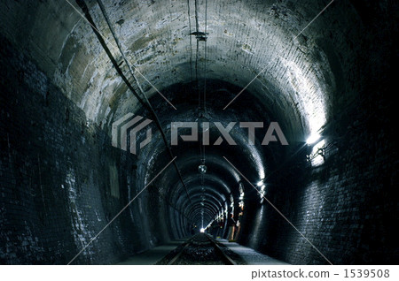 Great Shaded Tunnel Promenade 1539508