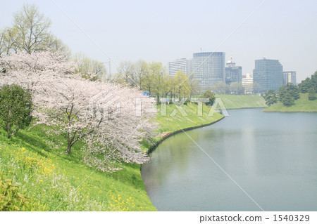 故宮的護城河的新綠色 1540329