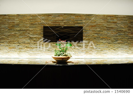 counter, countertop, anthurium lily 1540690