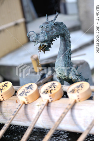 Dragon's water shop 1540789