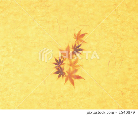 Autumn leaves 1540879