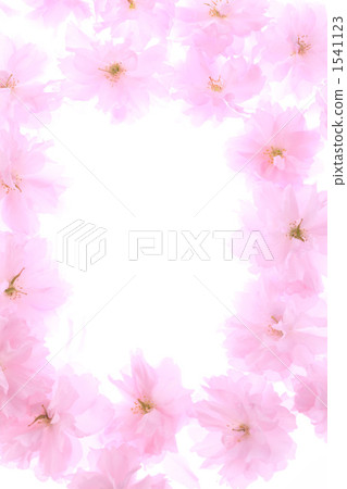 Satzakura的花瓣 1541123