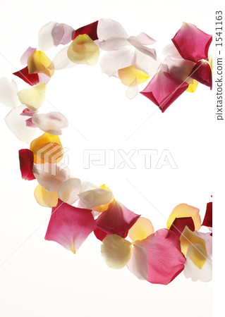 玫瑰花瓣 玫瑰花瓣 1541163