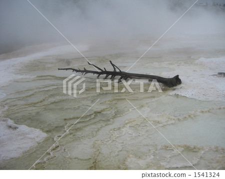 Yellowstone National Park 1541324
