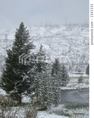 Yellowstone National Park Yellowstone National Park 1541335