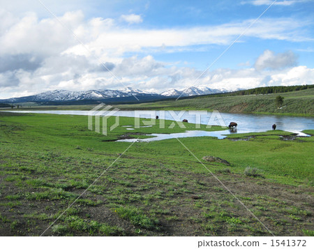 Yellowstone National Park 1541372