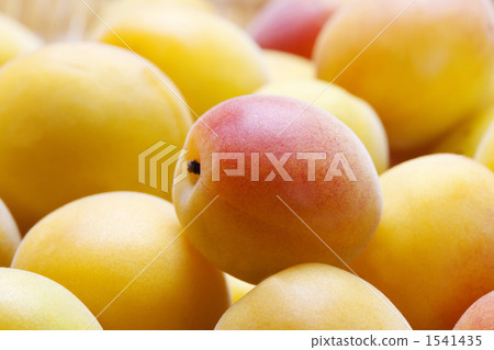 Plum fruit 1541435