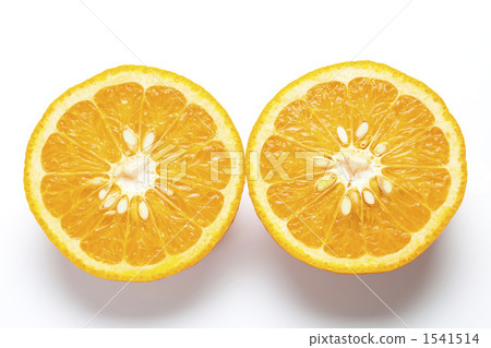 夏季橙色 1541514