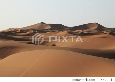 Sahara Desert Chevy Dunes Sahara Desert Chevy Dunes 1542021