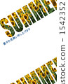 Sunflower _ SUMMER 1542352