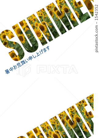 Sunflower _ SUMMER Sunflower _ SUMMER 1542352
