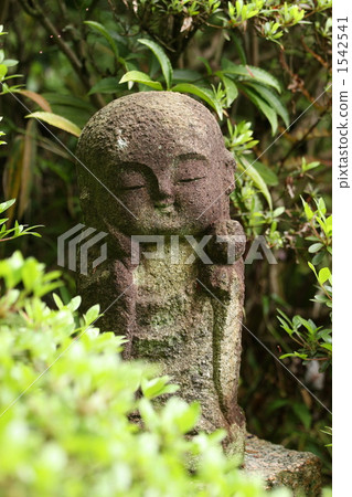 Jizo Jizo 1542541