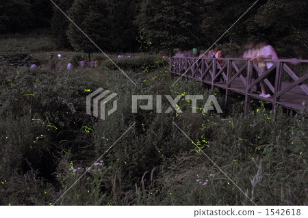 螢火蟲裝飾 螢火蟲裝飾 1542618