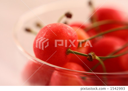 Cherry Cherry 1542993