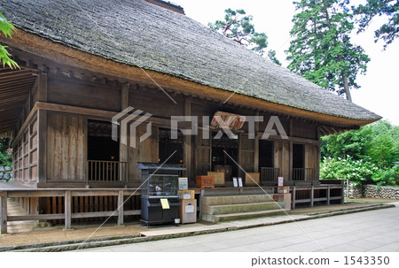 Walking Oume and Shiitake Kanonji Walking Oume and Shiitake Kanonji 1543350