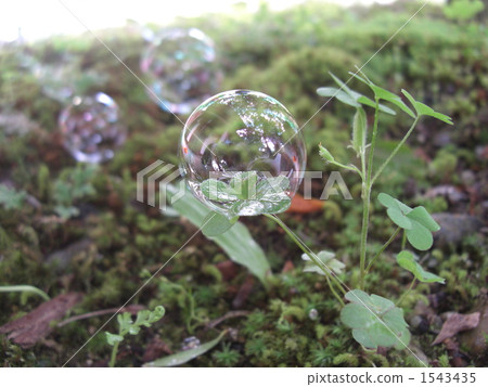 soap bubbles, soap bubble, lifting 1543435