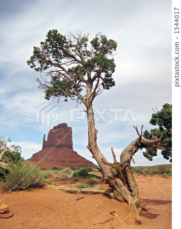 紀念碑谷 紀念碑谷 1544017