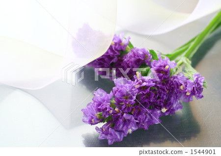 Statis Statis 1544901