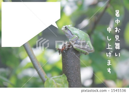來自青蛙的問候 來自青蛙的問候 1545536