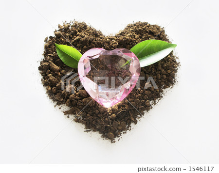 Environment issues Environment issues 1546117